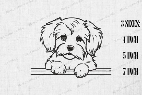 Cute Havanese Dog Peeking Wall